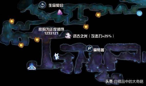 沼泽远古火鸟—揭秘传说中的神秘生物