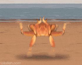 大西洋貔貅失落｜一场关于文化误读的荒诞旅行