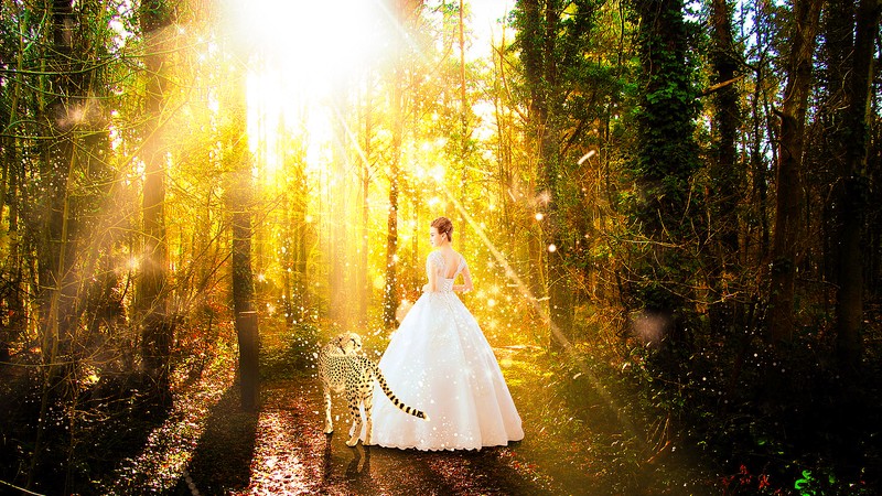 南极森林精灵之谜—探寻未知的奇幻世界