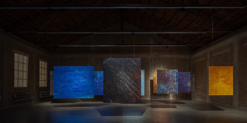 万家镇的猫和老槐树