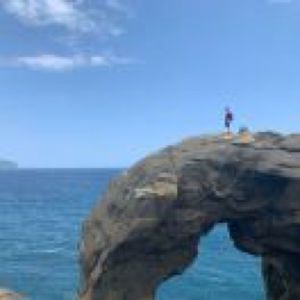 森林深处的秘密