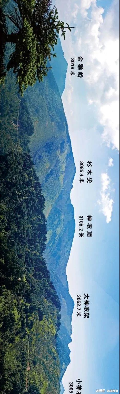 神农架，那片神秘森林里的光影传奇！