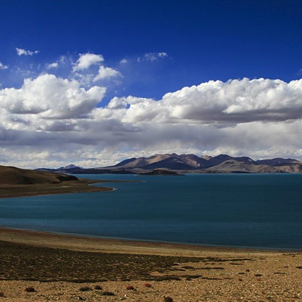 那片湖，那个沙鬼，你信吗？