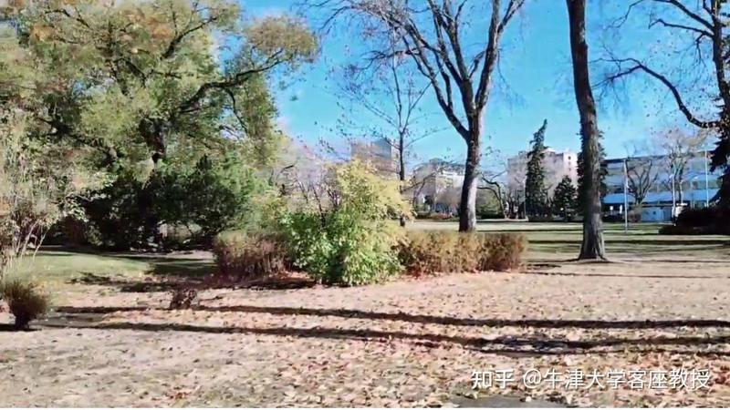 密歇根极移记录丨地球自转的神秘力量