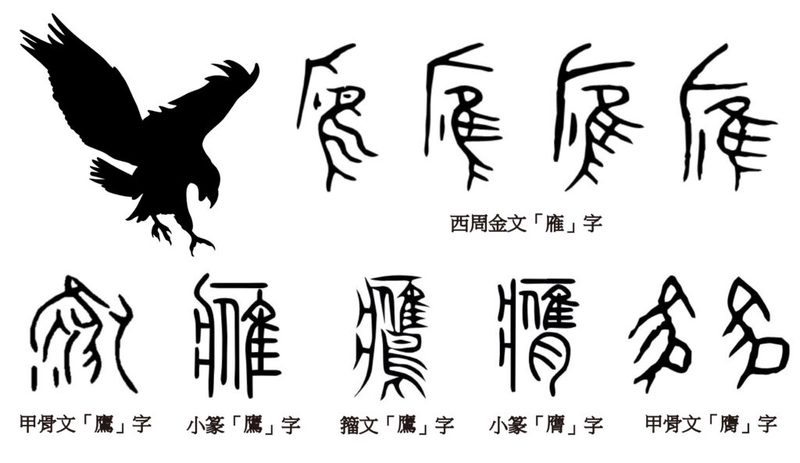 龖的传说｜深山中的神秘巨兽