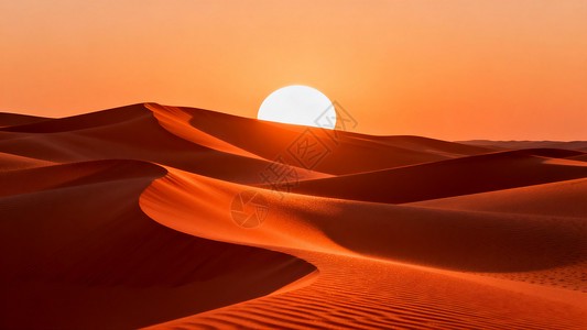 撒哈拉风元素航海—风沙中的航海传奇