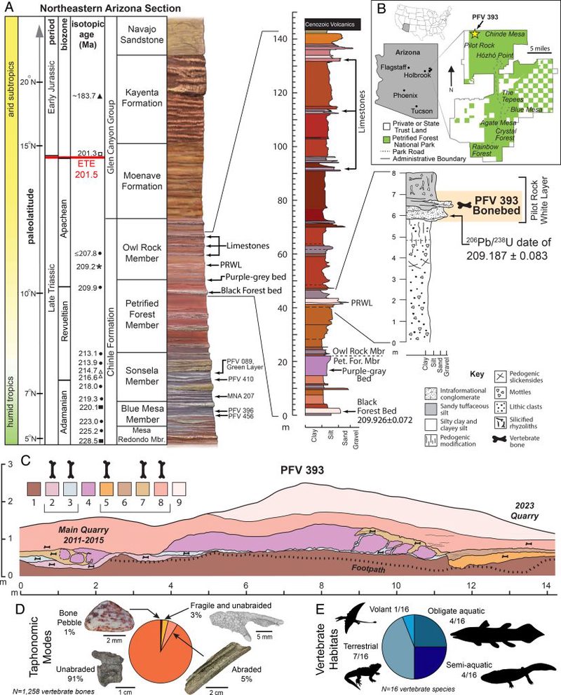 在亚利桑那，那些神秘的生物，真的存在吗？