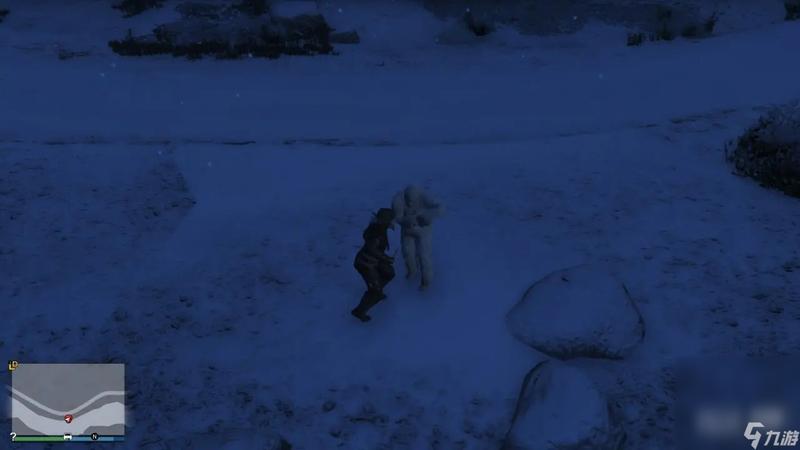 南美雪怪风暴—大自然的奇迹与挑战