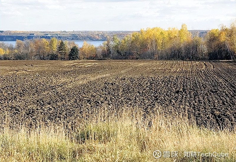 墨西哥光柱里的泥土，藏着地球的呼吸？