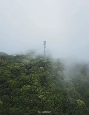 雨林深处的毒雾，我亲眼见过它怎么吃人…