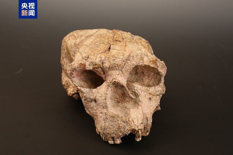 陨石坑双重影像骨制面具·古老文明的神秘遗物