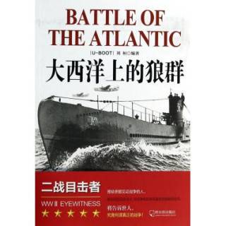 深海疑云·大西洋惊现神秘海军身影
