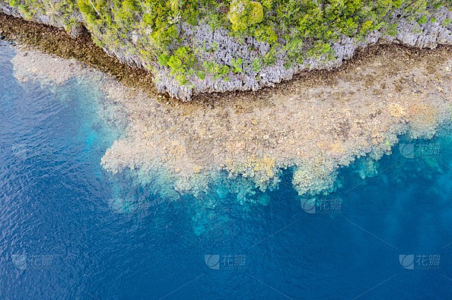 在珊瑚白化的废墟里，我捡到了指南针的倒影
