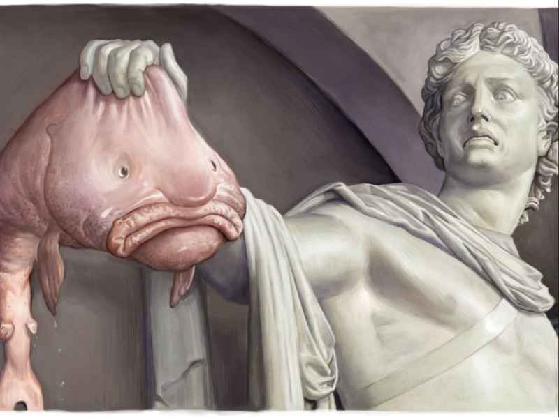 海边的秘密与奇迹？