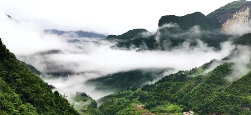 亚马孙雨林里的神秘“电梯停层”—双环印之谜