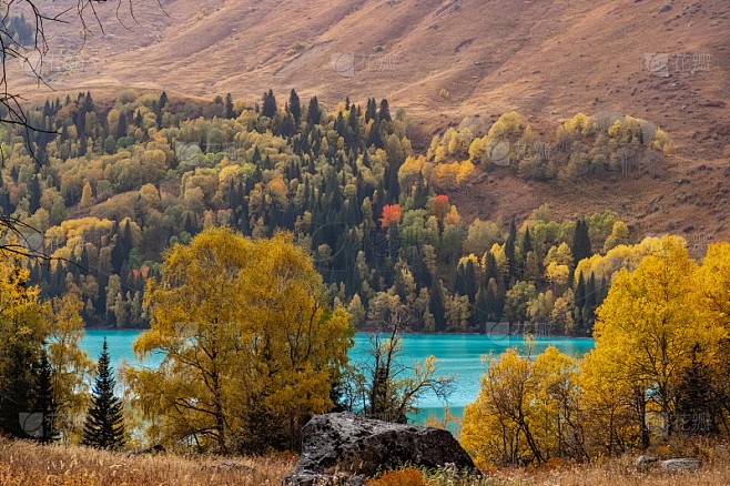 湖光映照下的成长：当光明湖泊树人遇上现实