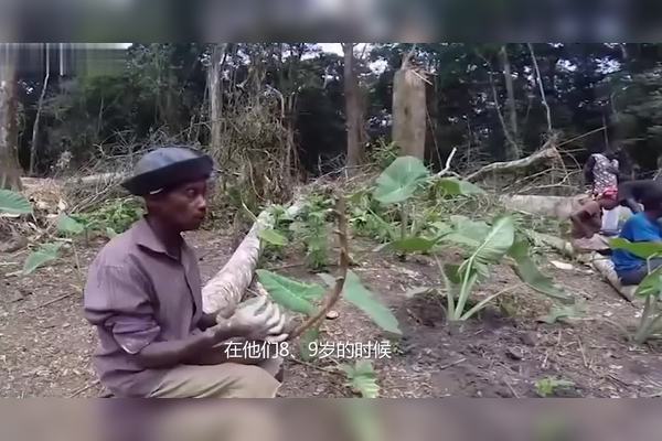 非洲矮人的神秘消失丨是传说还是真相？