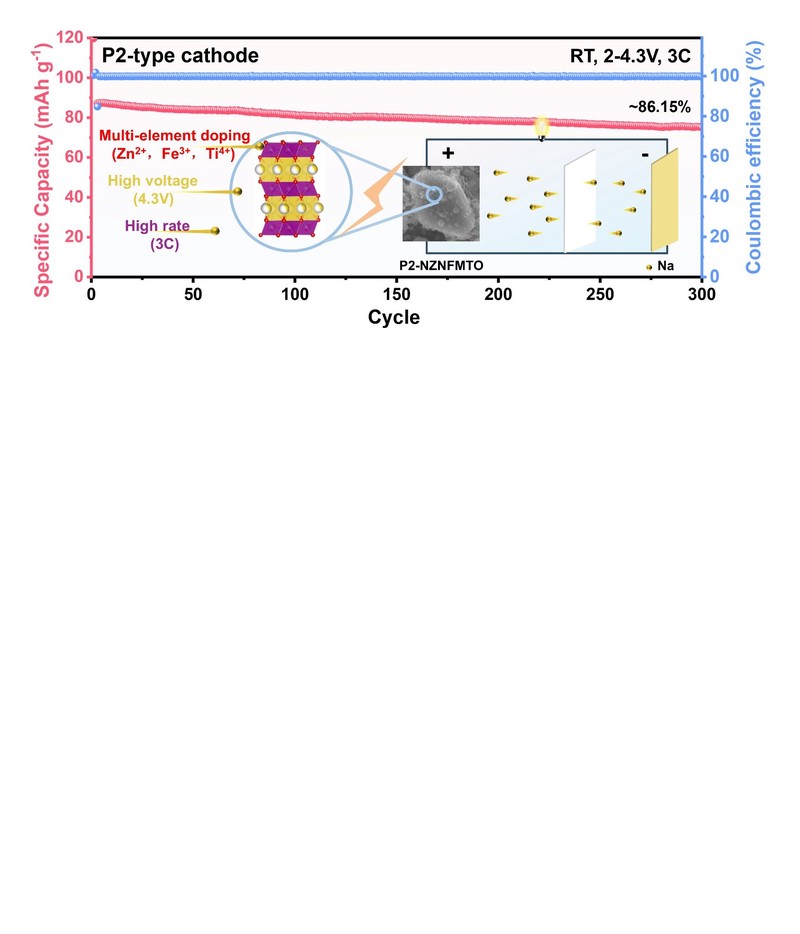发光球黑森林粘土符片丨解锁自然之美