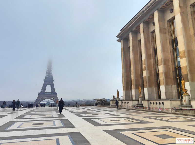 撒哈拉深处的沉默者：那些被风沙掩埋的木乃伊密码