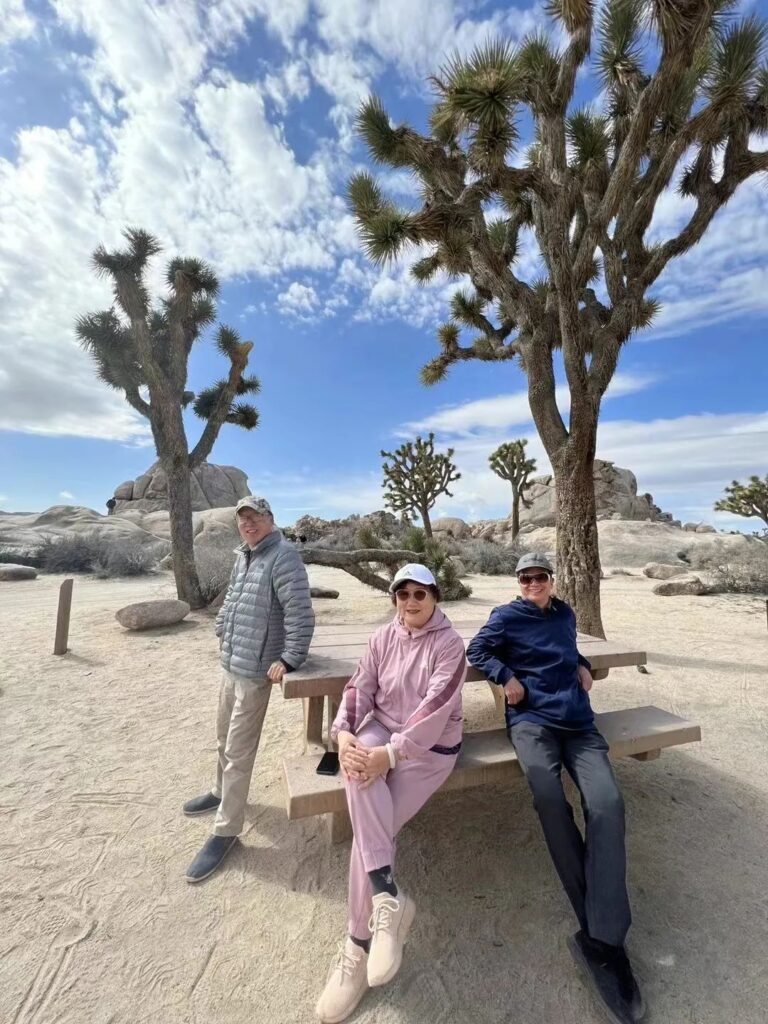 沙漠石林之谜·一场穿越时空的迷雾