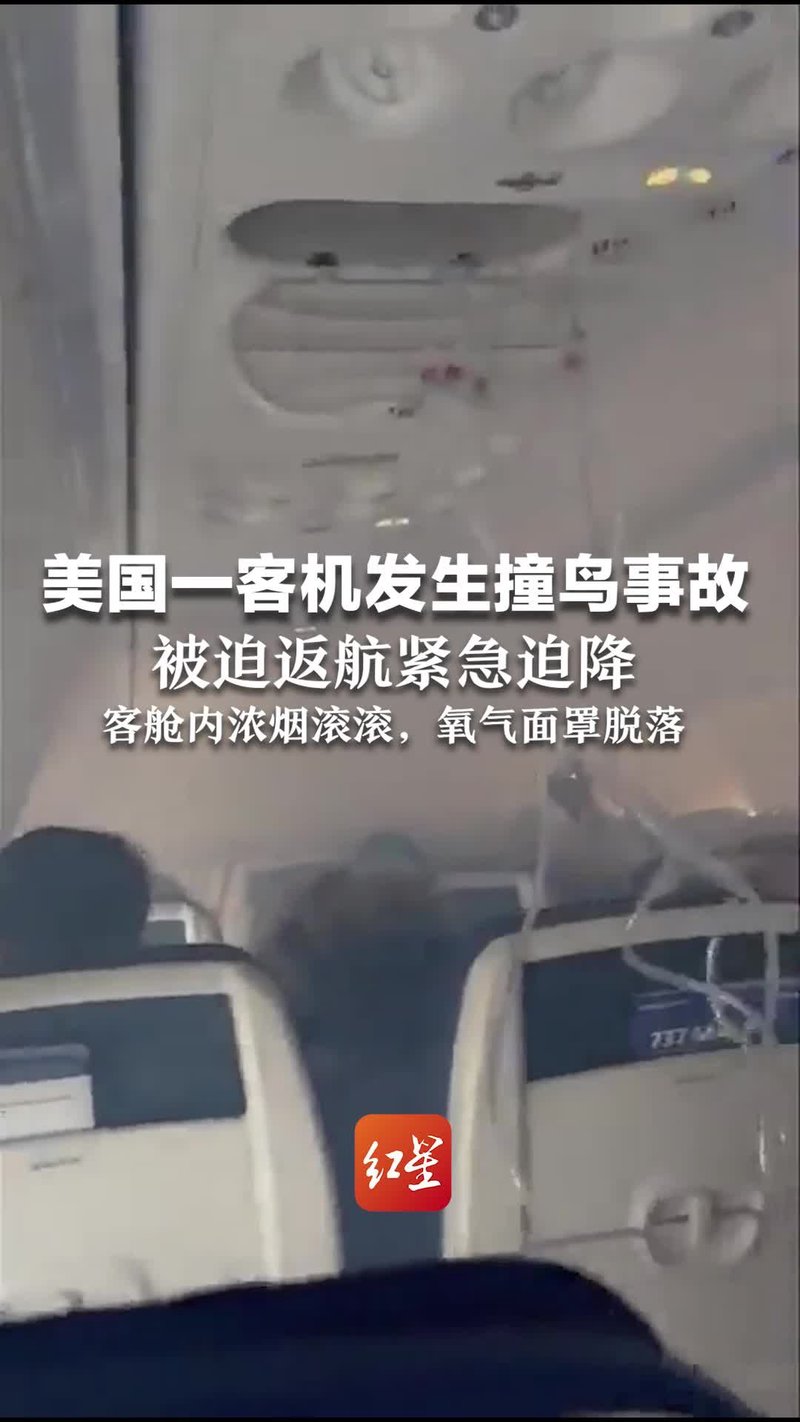 航班19号的“幽灵”信号：澳大利亚空管发现的异常数据