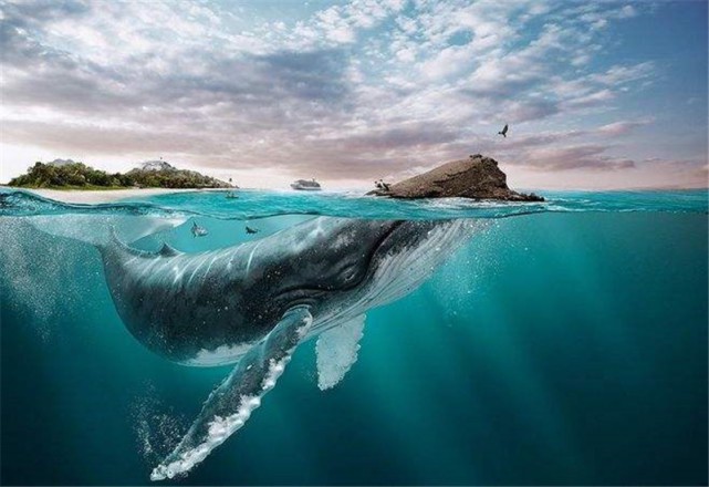 沙漠奇观丨石林中的鲸鱼搁浅，反向指南针背后的神秘力量