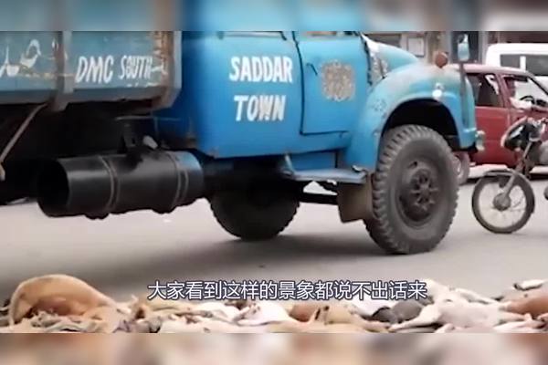 地铁深处的奇幻冒险丨废弃地铁动物暴走倒挂雕像的秘密