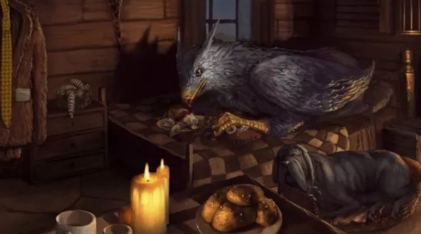 亚马孙雨林深处的暗影：那些让人后背发凉的未解之谜