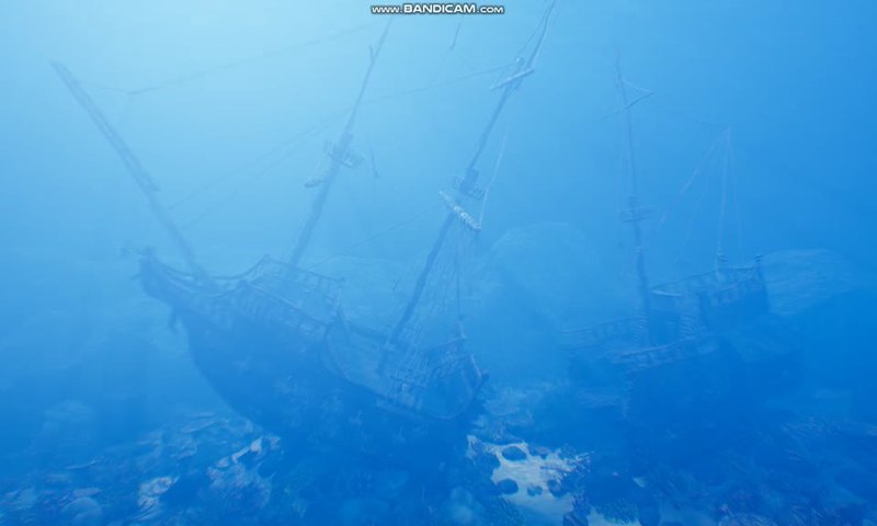 海底奇迹｜沉船与玻璃棺雨鱼的传奇