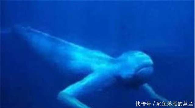 南极冰川的神秘守望者｜冰川石像鬼的奇幻故事