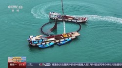 深海旧日支配者的丰收丨一场超越理解的盛宴