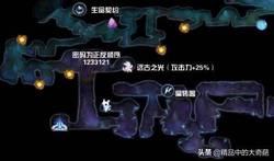 沼泽远古火鸟—揭秘传说中的神秘生物