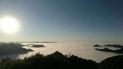 我见过的天空北极雾灵，不是神话，是凌晨四点的北风…