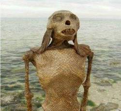 非洲的诅咒之鲛人·一段令人毛骨悚然的神话传说