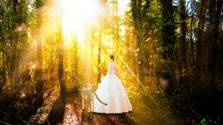 南极森林精灵之谜—探寻未知的奇幻世界