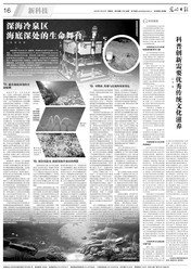 海底冷泉中的神秘光环·未知孢子的启示