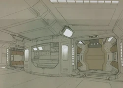 意大利网罟座之谜—南半球的隐形渔网与星空下的冷知识