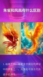 当古老传说遇上现代科技｜西方凤凰守护的启示