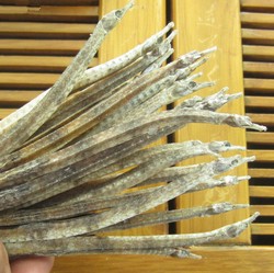 非洲丰收海龙丨大自然的馈赠与人类的智慧