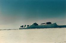 格陵兰的脚印，真的会“闪”吗？