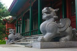 时间高加索貔貅：貔貅在时间中的奇妙之旅