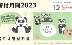 高加索深处的秘密丨我在地球学校看到了什么