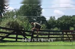 消失的悬崖丨一场关于记忆的集体幻觉