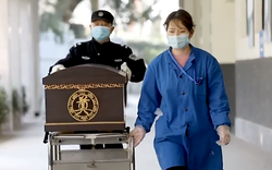 火焰之下的微笑…