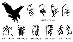 龖的传说｜深山中的神秘巨兽