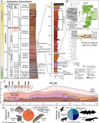 在亚利桑那，那些神秘的生物，真的存在吗？