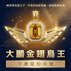 守护印度洋金翅大鹏｜一场与时间的赛跑