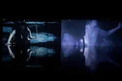 雨林里，水是黑的