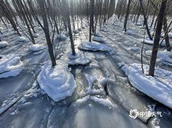 冰层下的频率谜题｜极地深处的未知信号