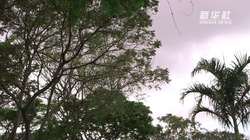 巴拿马运河上的血与火｜一场惊心动魄的历史时刻